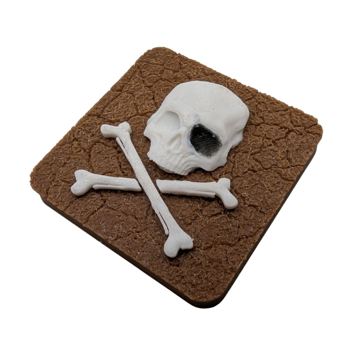 Jolly Roger magnet