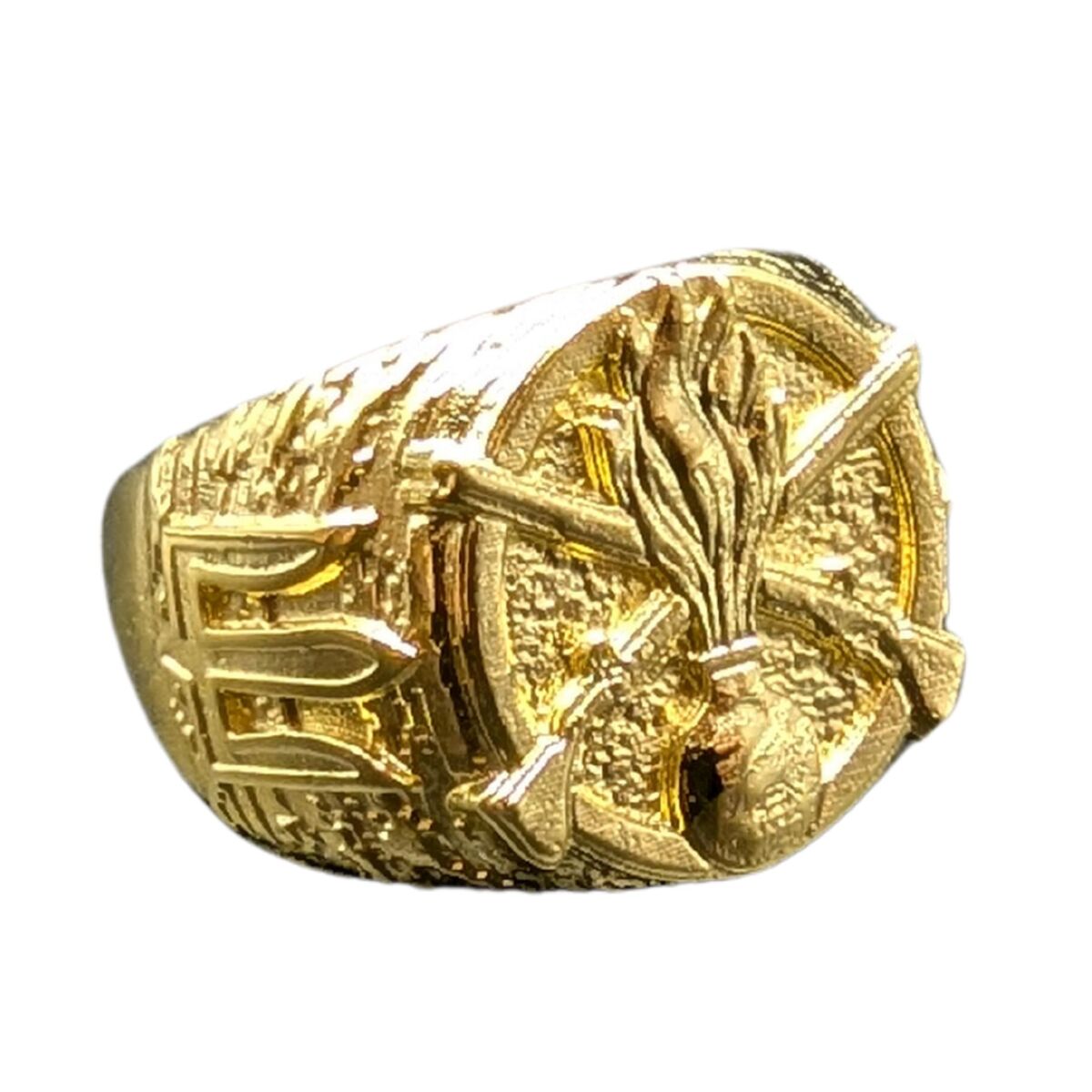 Ukrainian Mechanized Troops ring