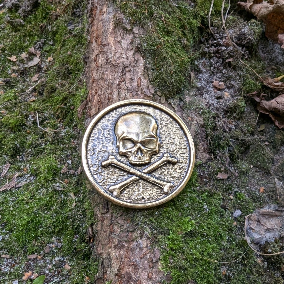 Pirate Skull coin