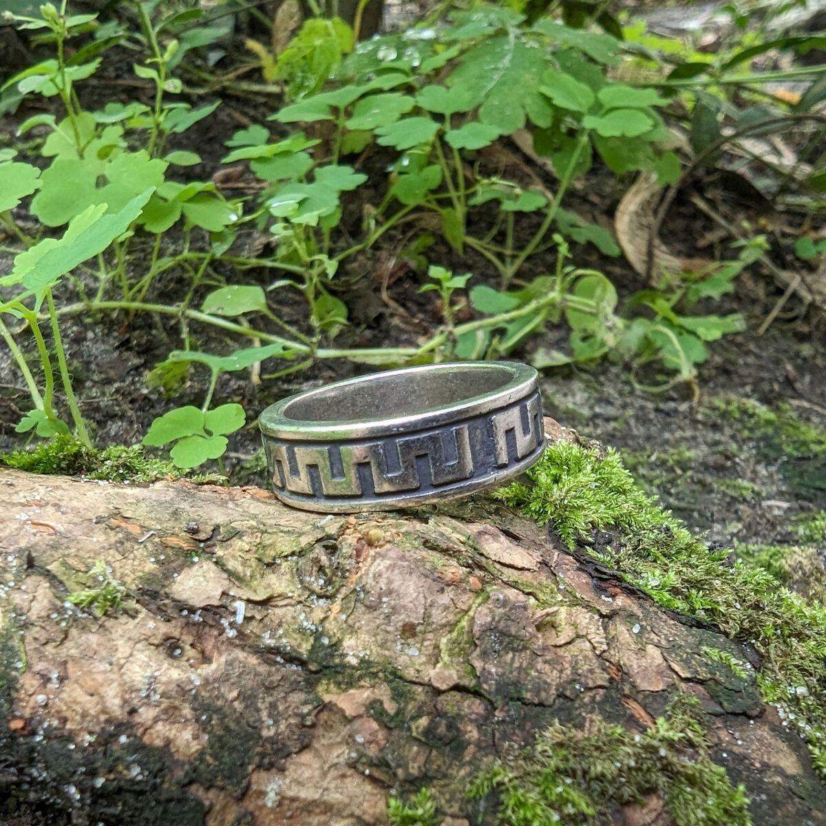 Ancient Greek ornament V2 ring