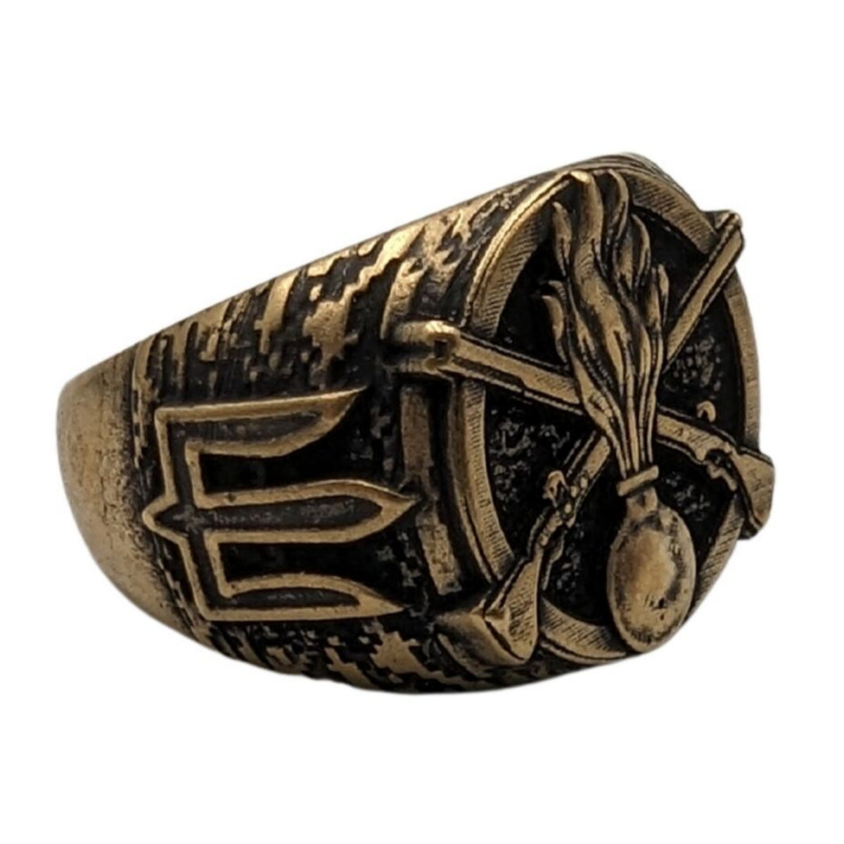 Ukrainian Mechanized Troops ring