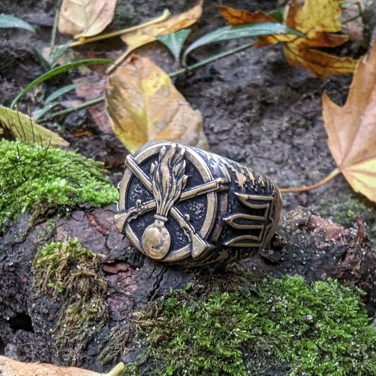 Ukrainian Mechanized Troops ring