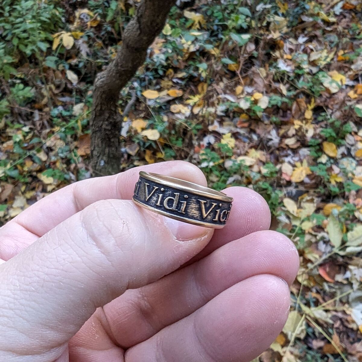 Veni Vidi Vici Roman ring