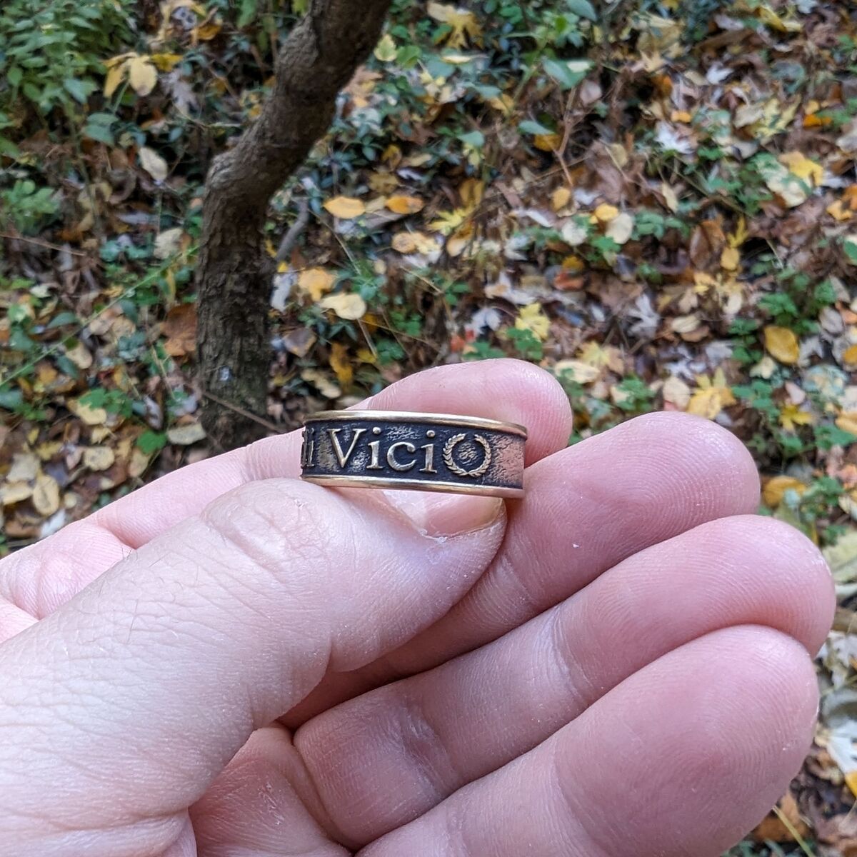 Veni Vidi Vici Roman ring