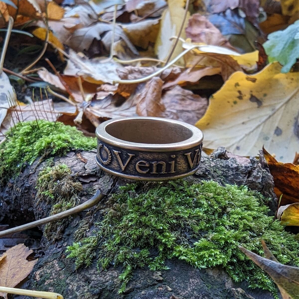 Veni Vidi Vici Roman ring