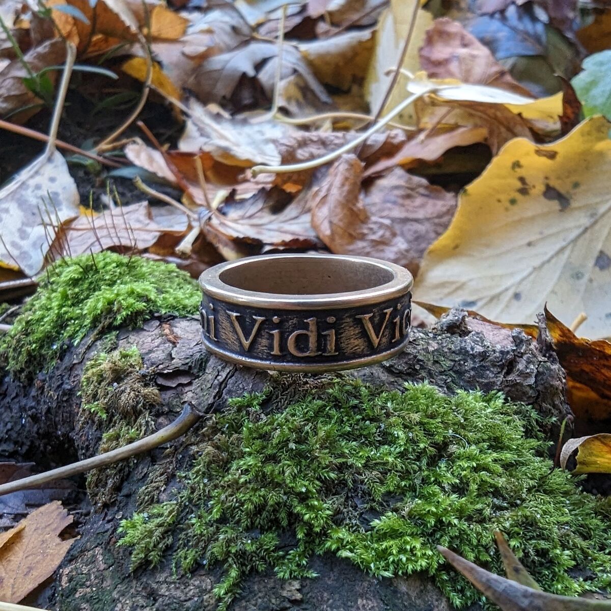 Veni Vidi Vici Roman ring