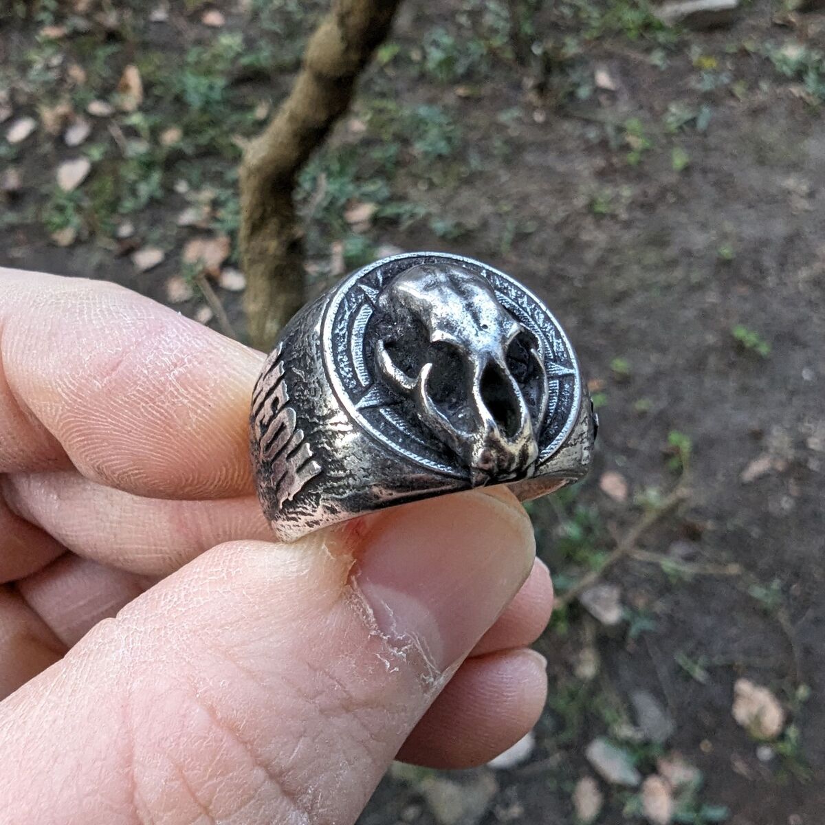 Cat skull signet ring