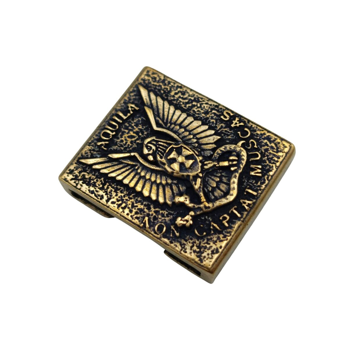 Roman Aquila molle clip