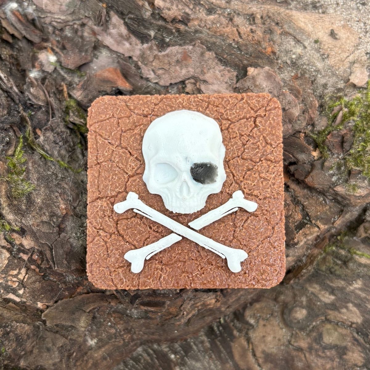 Jolly Roger magnet