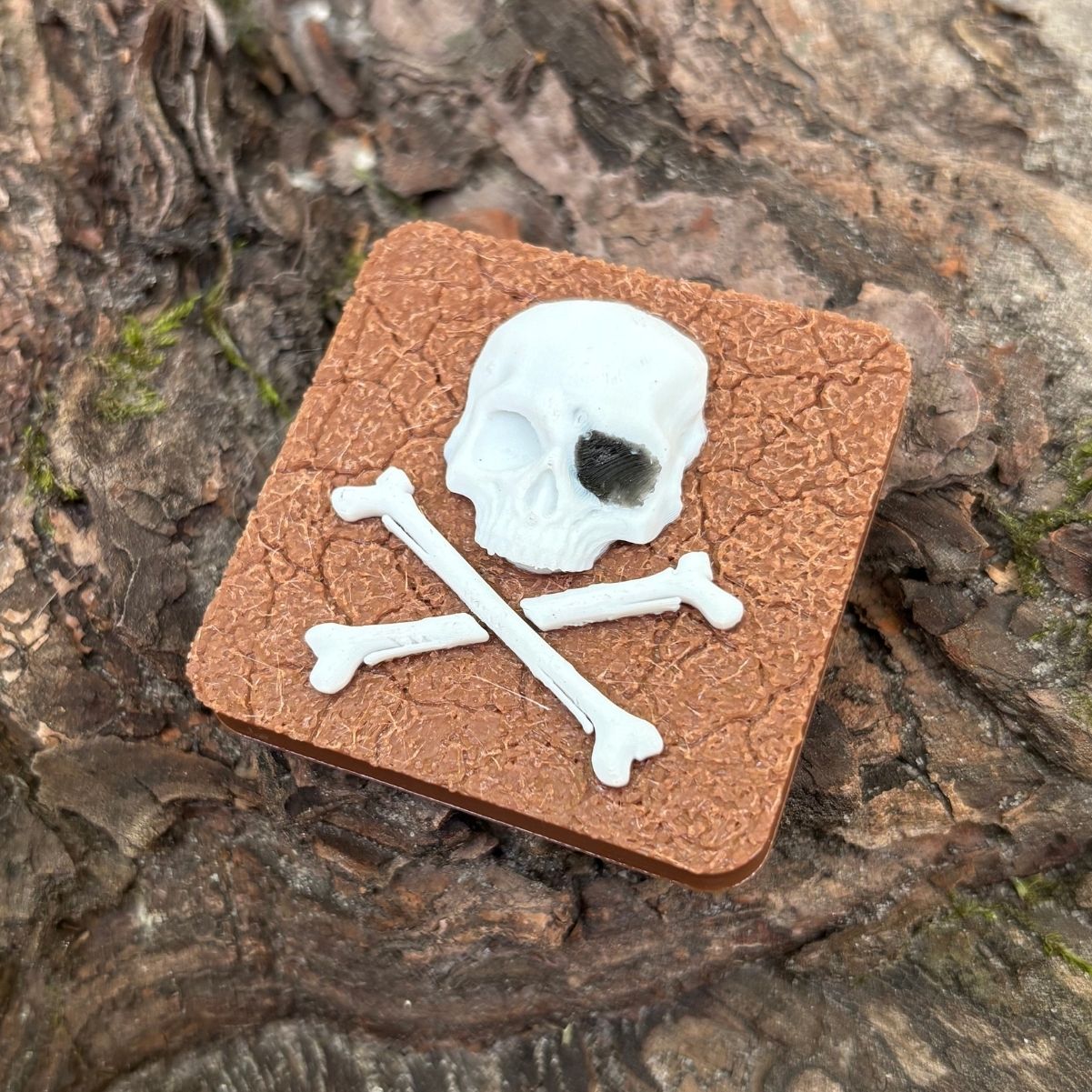Jolly Roger magnet