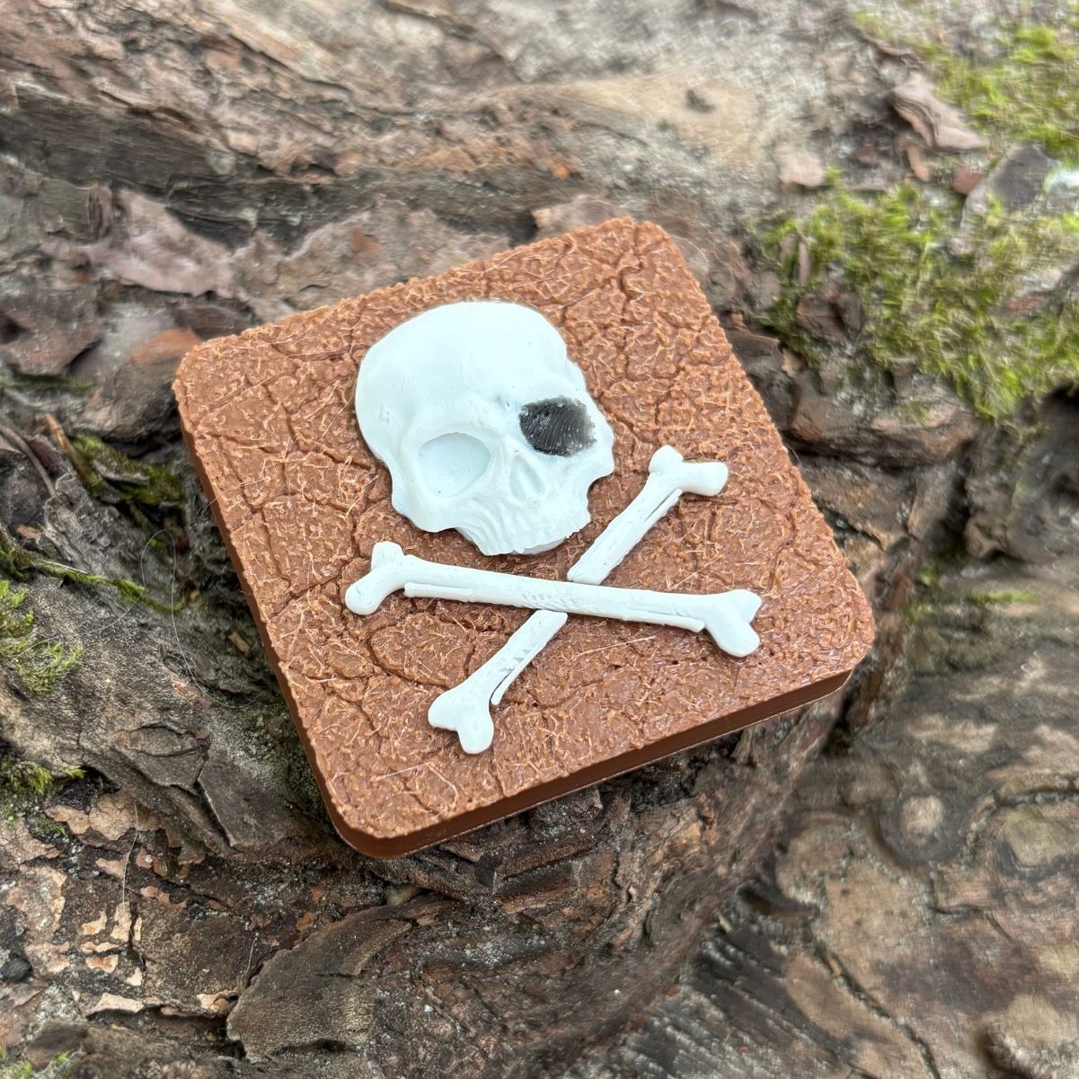 Jolly Roger magnet