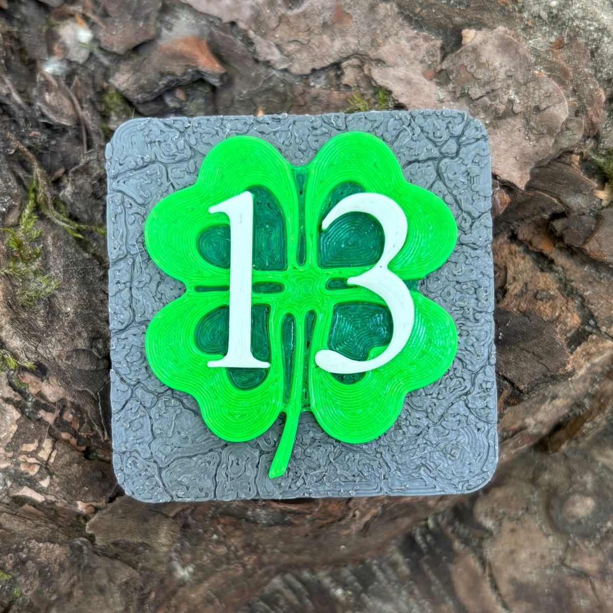 Lucky 13 magnet