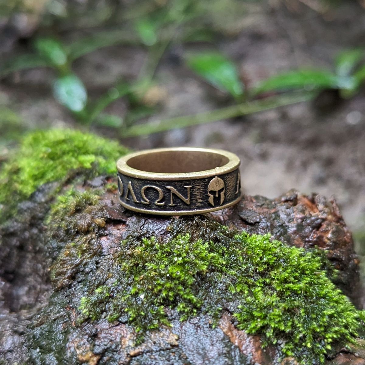 Molon Labe ring