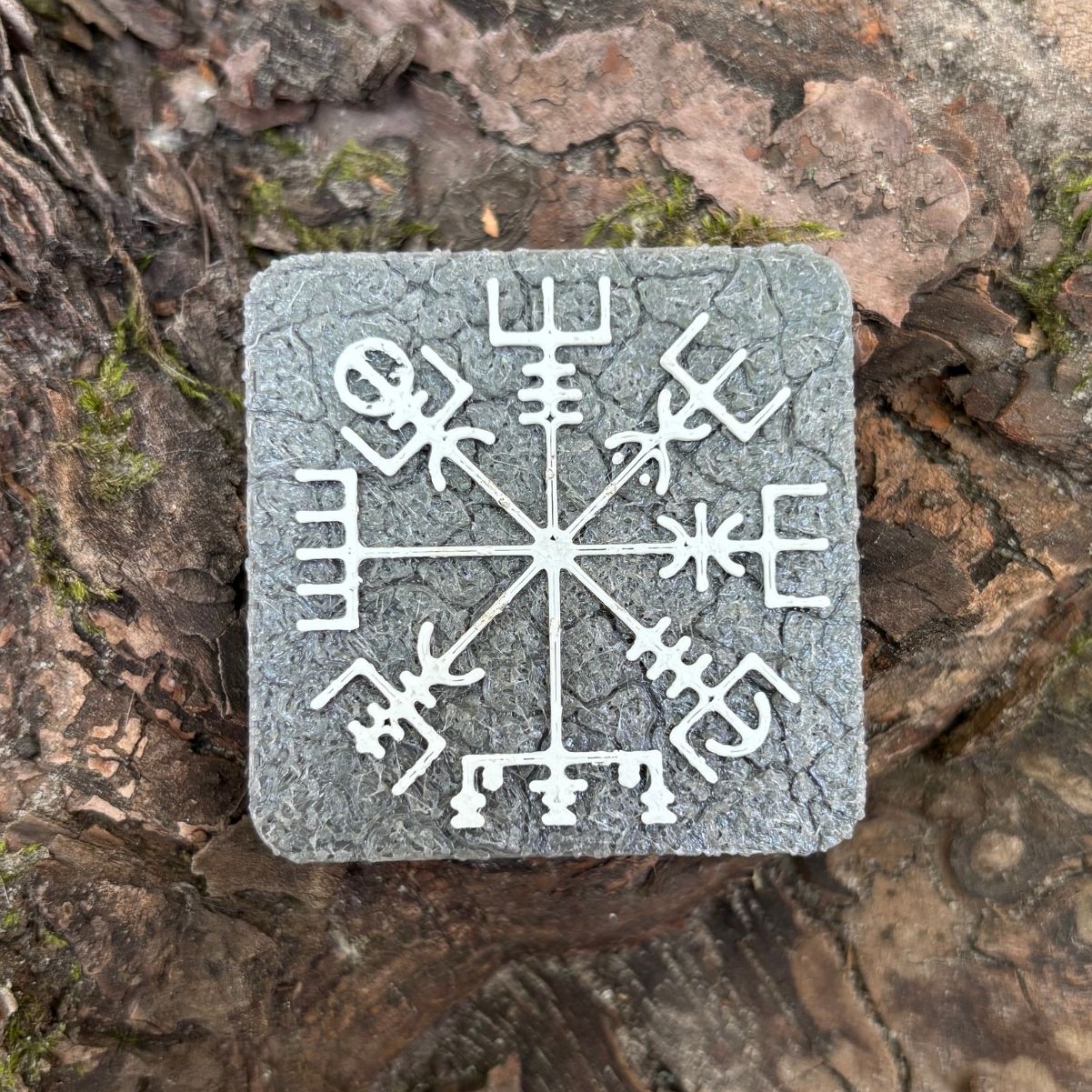 Vegvisir magnet