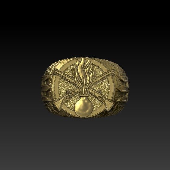 Ukrainian Mechanized Troops ring