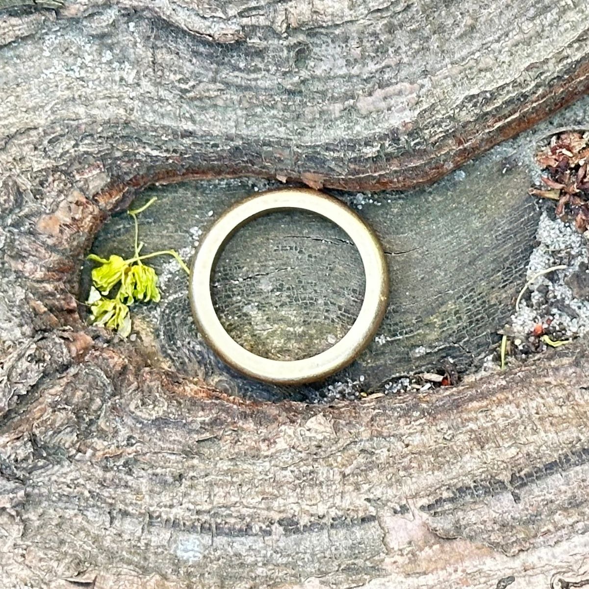 Minimalist simple ring
