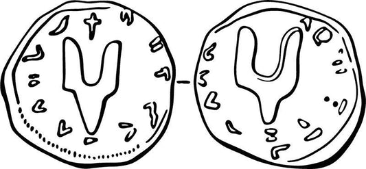 Dvozub of Prince Sviatoslav: Ancient Symbol of Kyivan Rus and Ukrainian Heritage