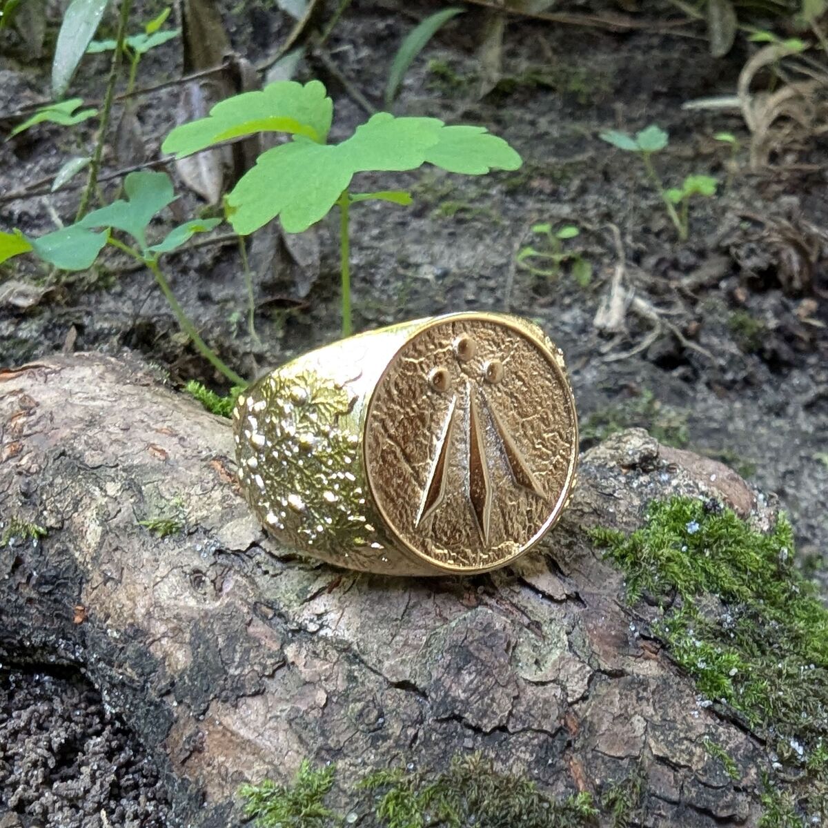 Awen signet bronze ring