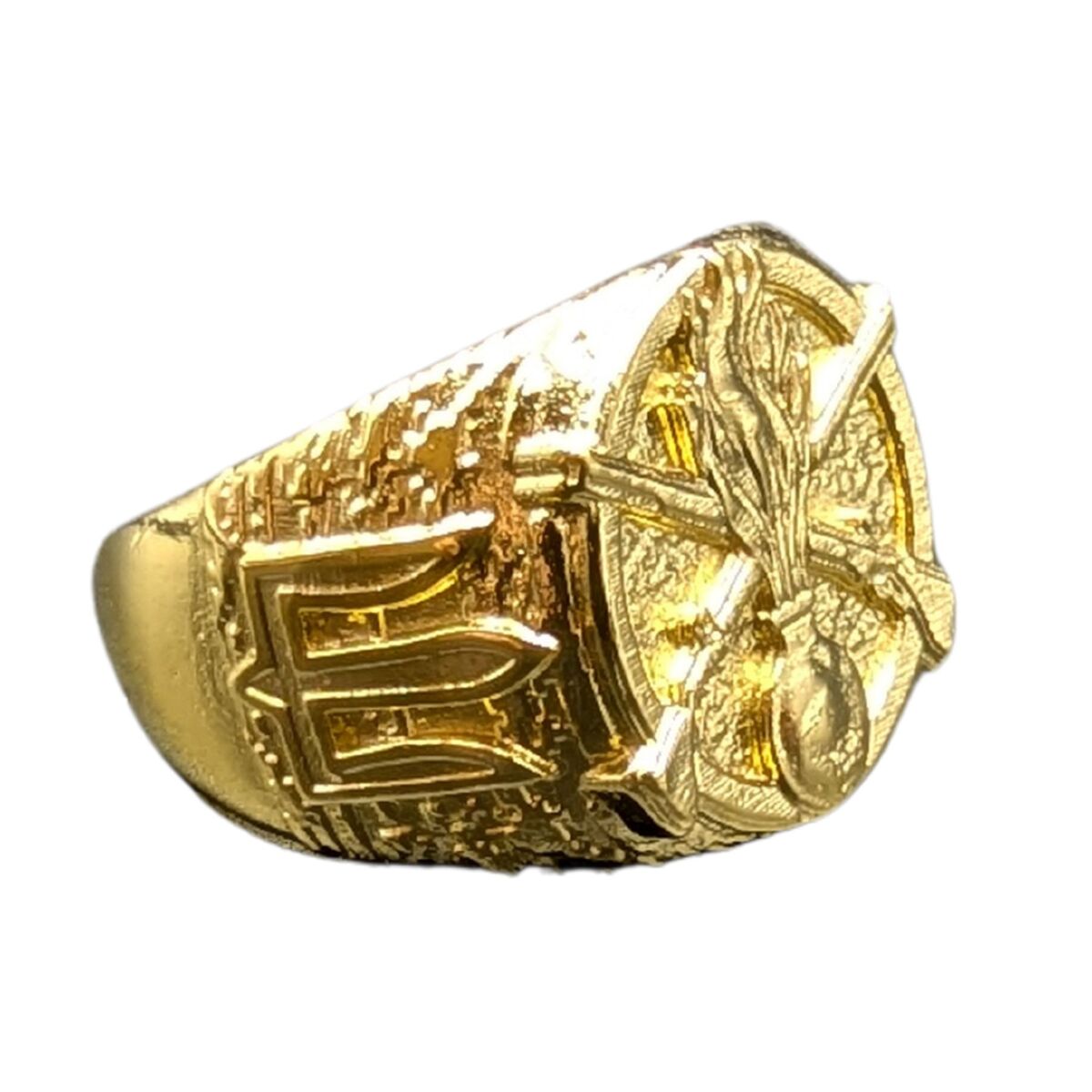 Ukrainian Mechanized Troops ring