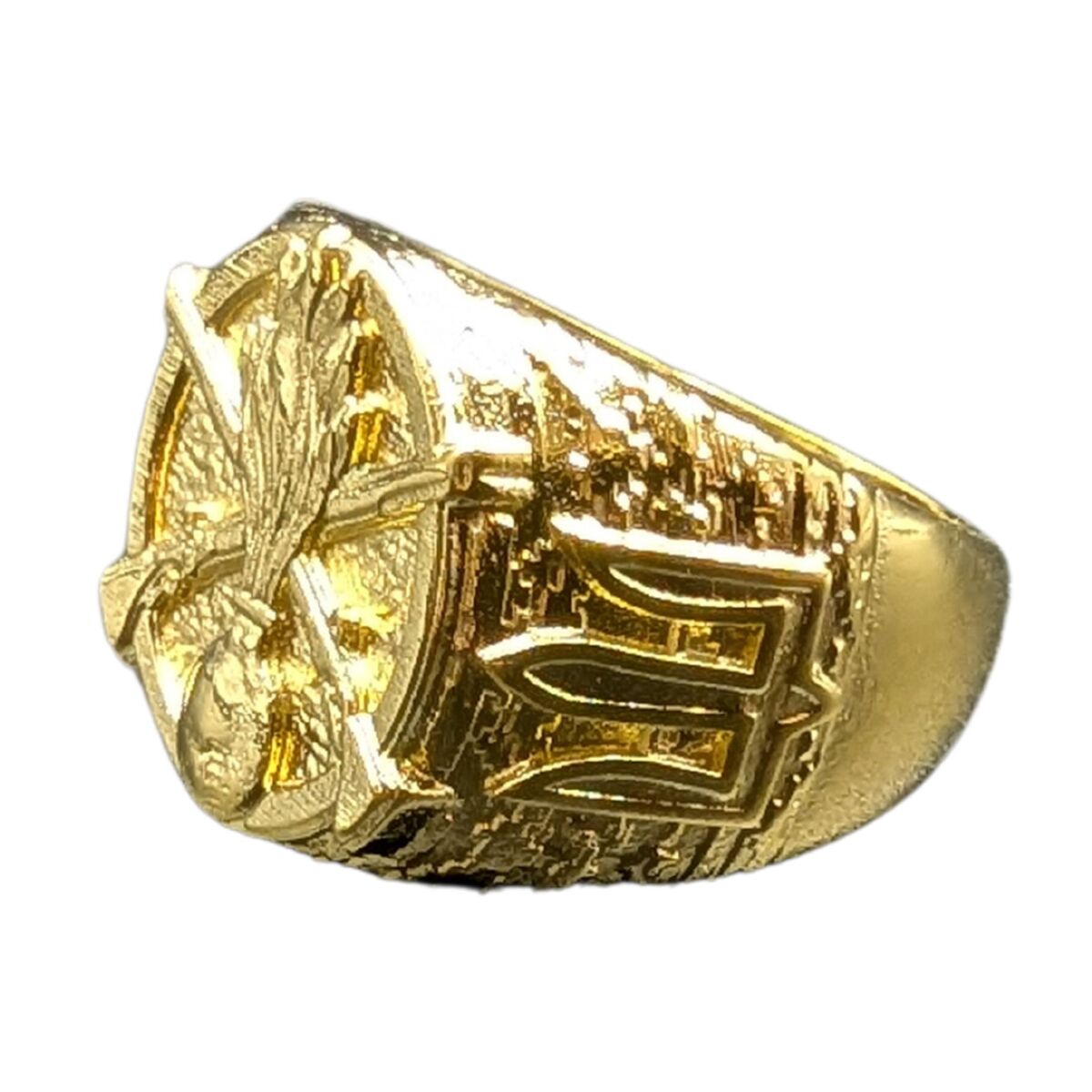 Ukrainian Mechanized Troops ring
