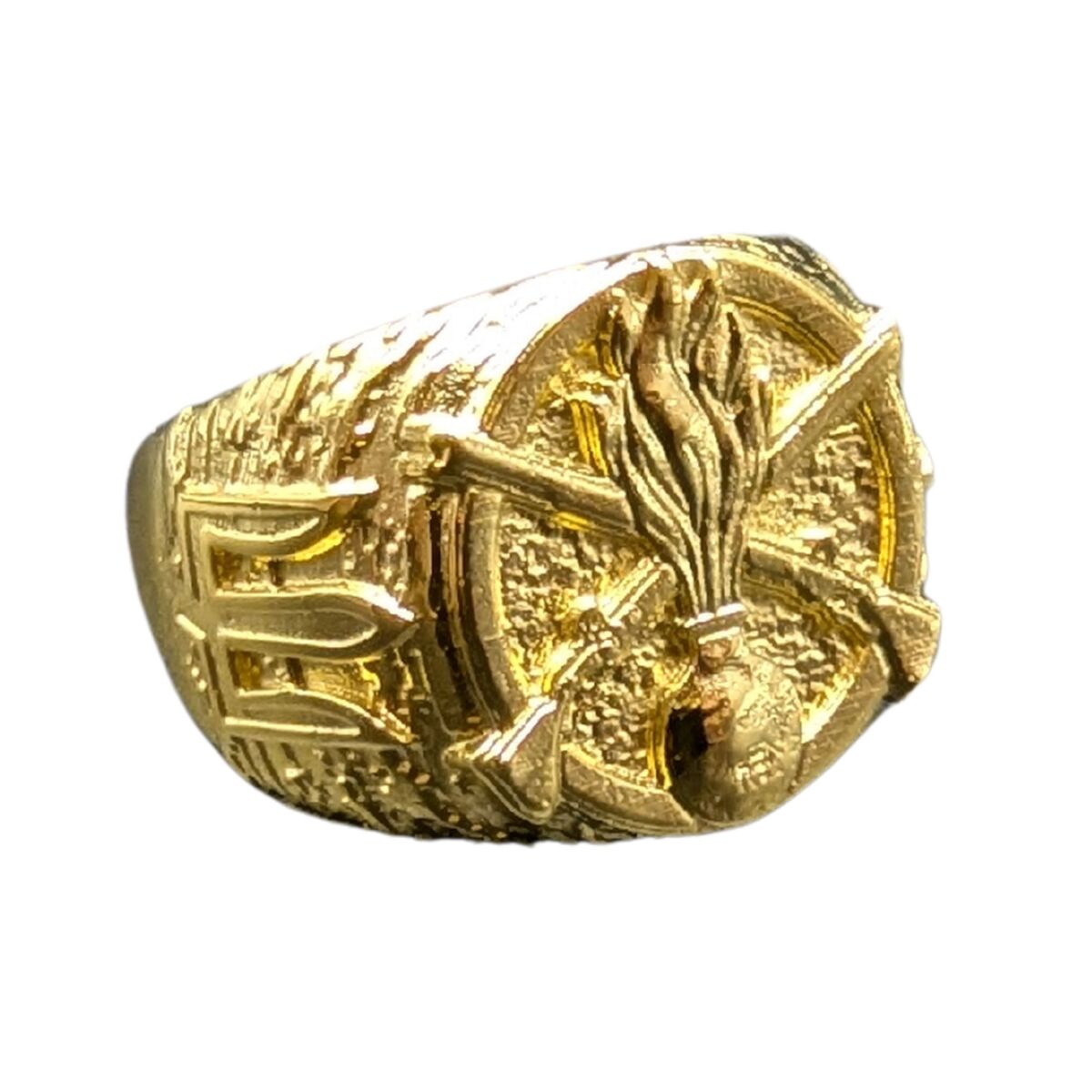 Ukrainian Mechanized Troops ring