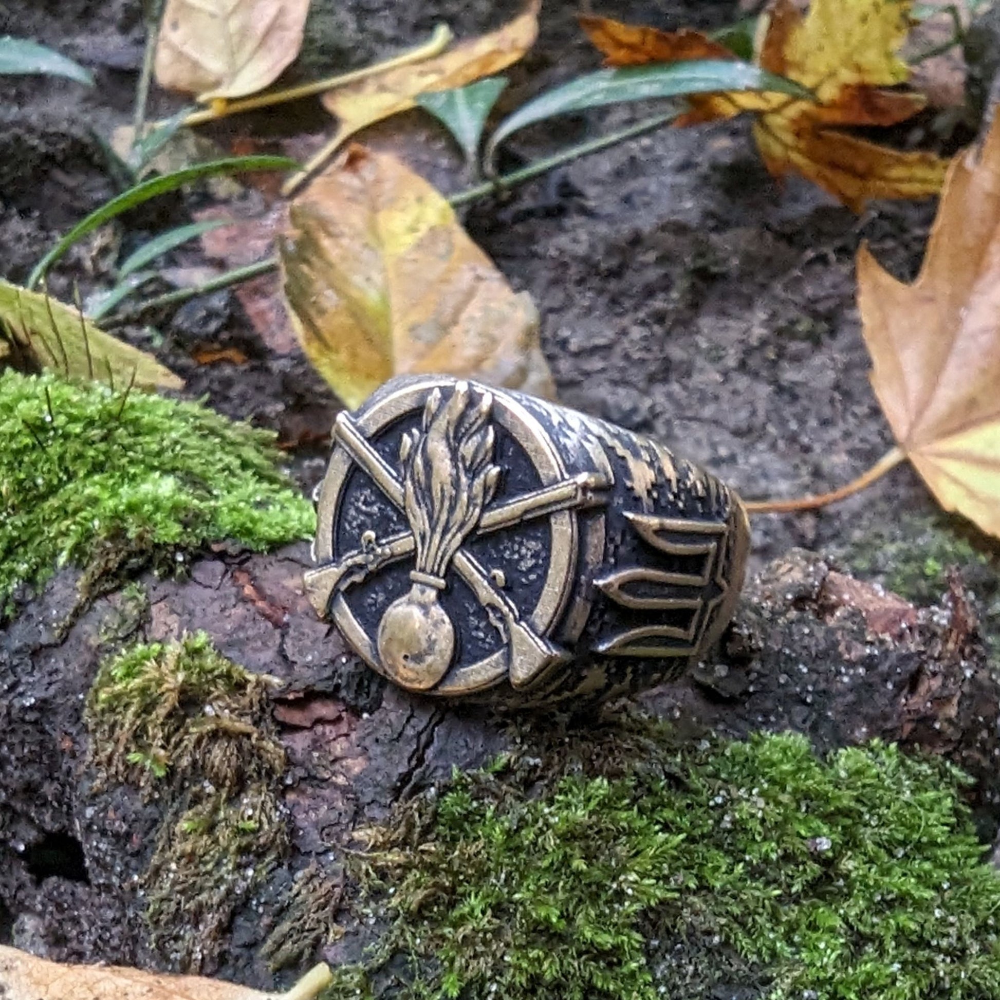Ukrainian Mechanized Troops ring