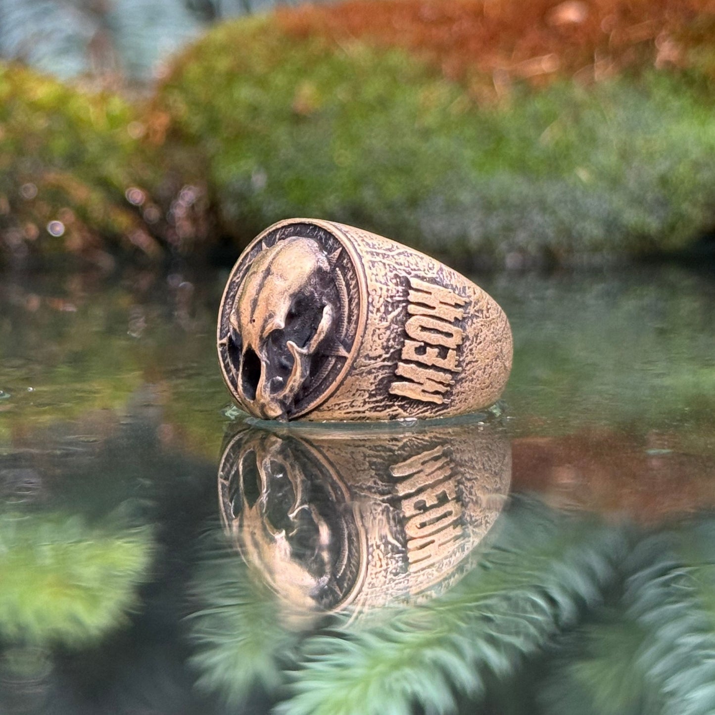 Cat skull signet ring