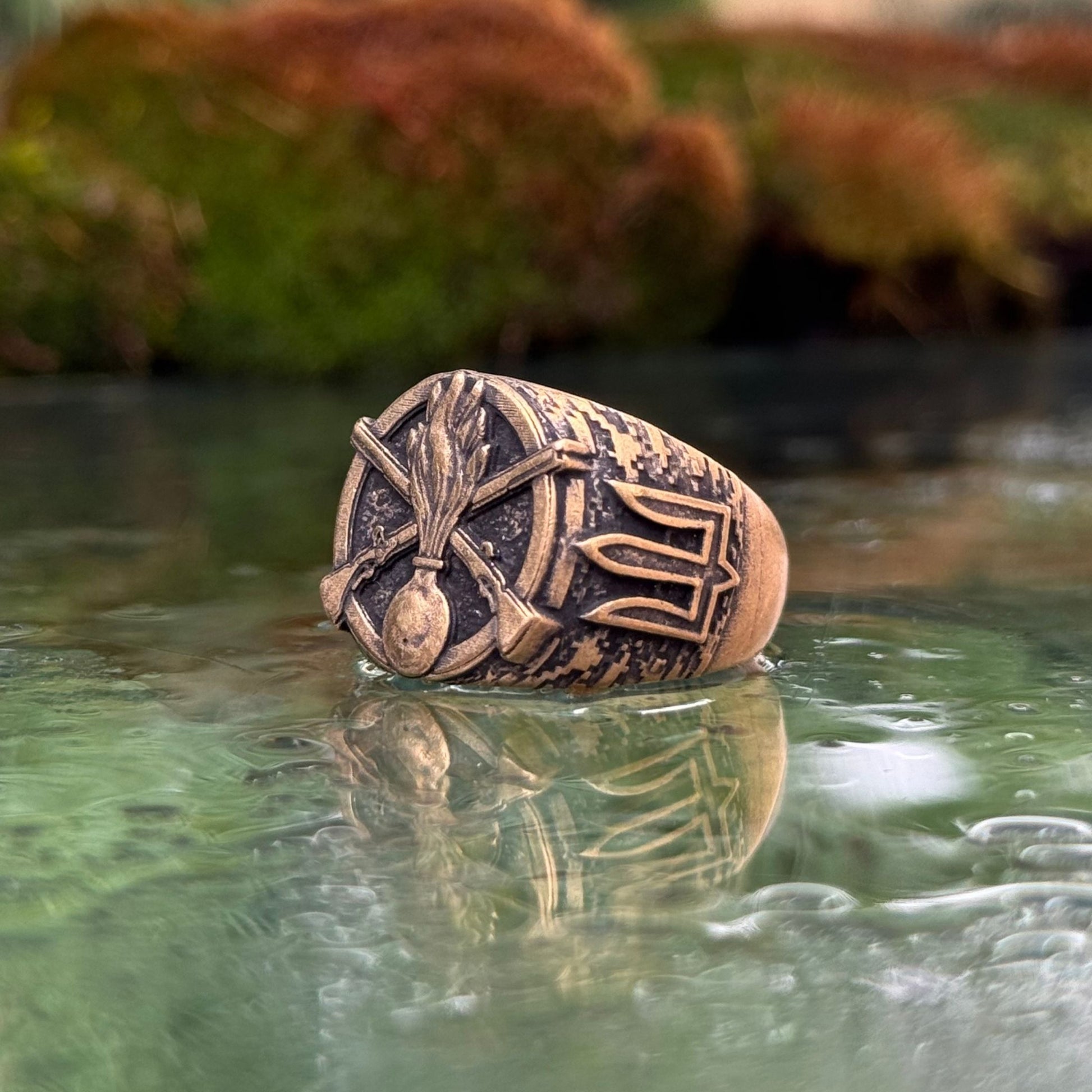 Ukrainian Mechanized Troops ring