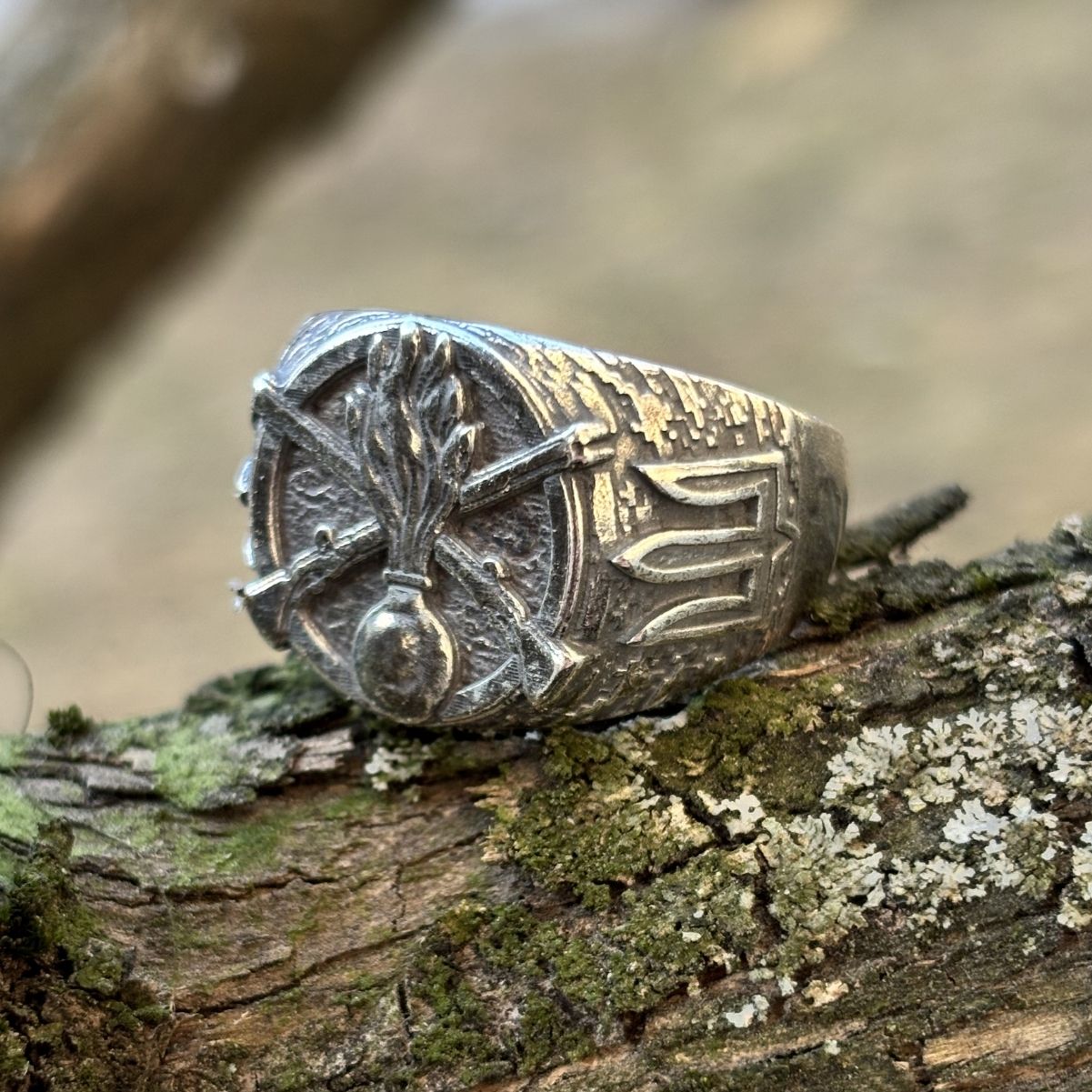 Ukrainian Mechanized Troops ring