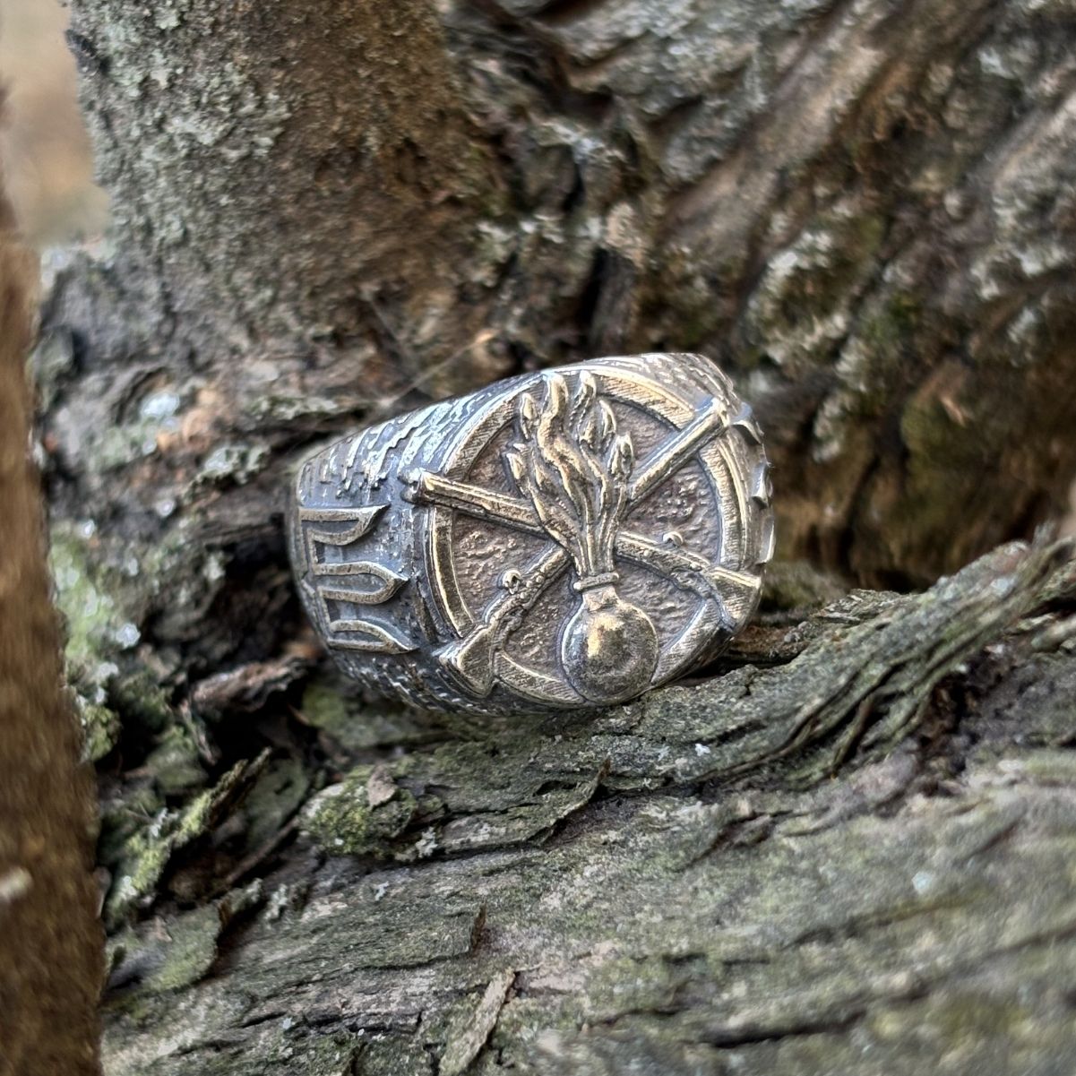 Ukrainian Mechanized Troops ring