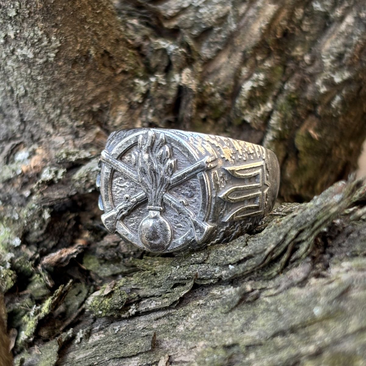 Ukrainian Mechanized Troops ring