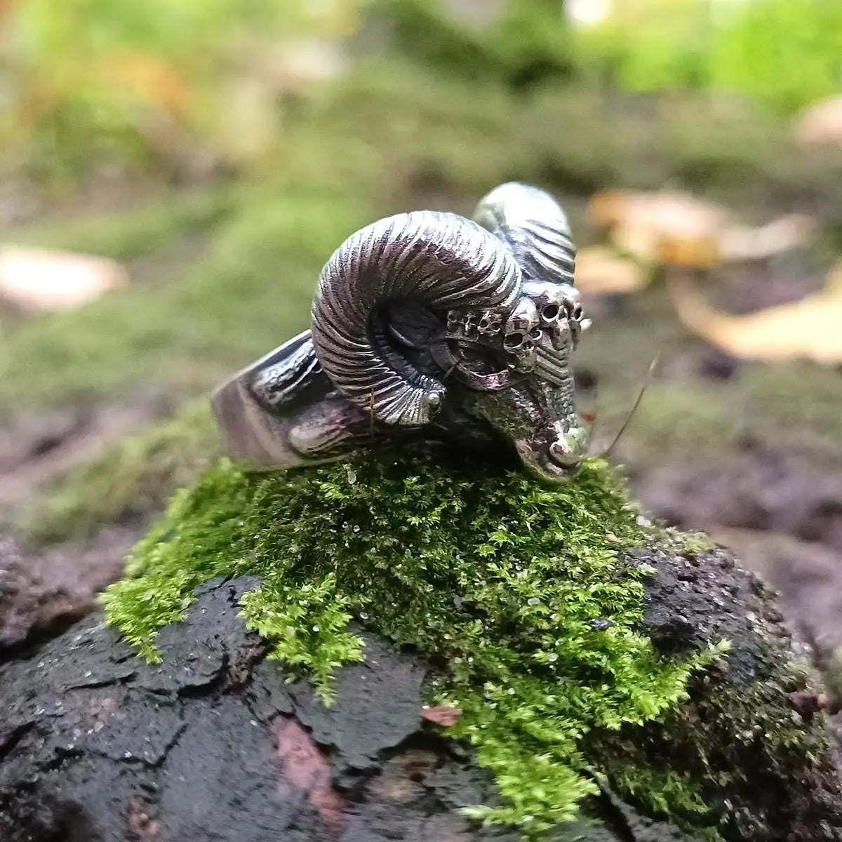 Viking ram ring