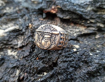 Ukrainian Tank Troops ring