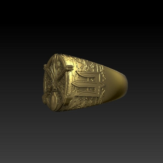 Ukrainian Mechanized Troops ring