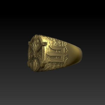 Ukrainian Mechanized Troops ring