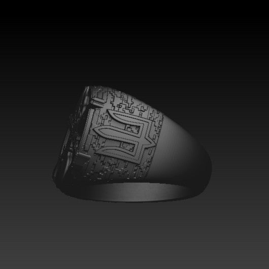 Ukrainian Mechanized Troops ring