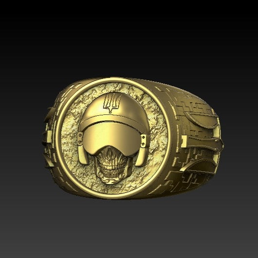 The Ghost of Kyiv signet ring 6 US Gold plating