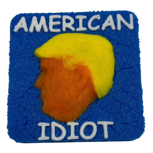 American Idiot magnet