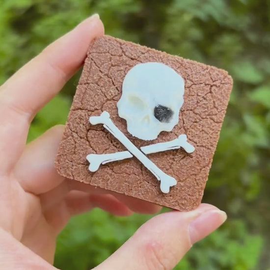 Jolly Roger magnet