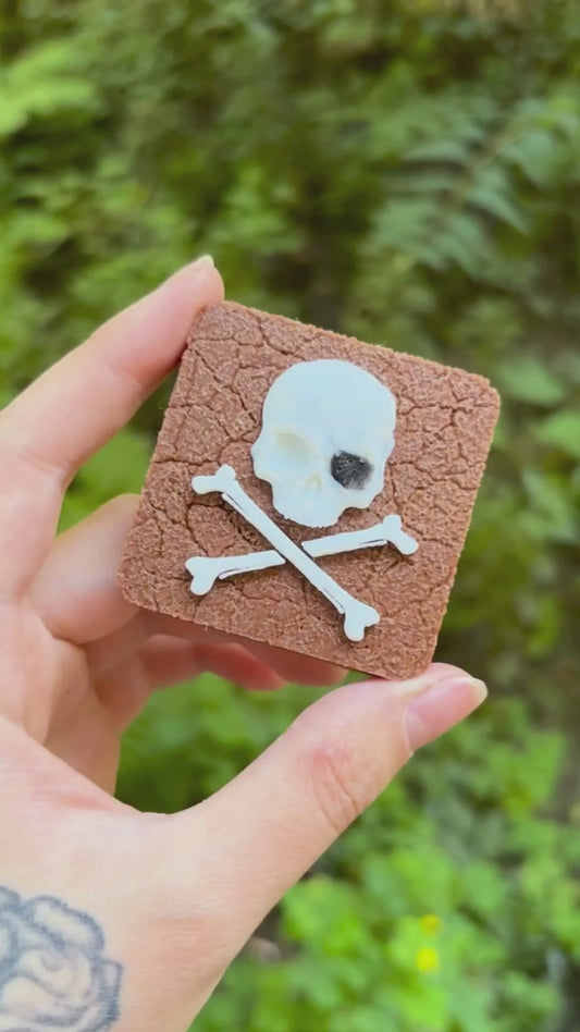 Jolly Roger magnet