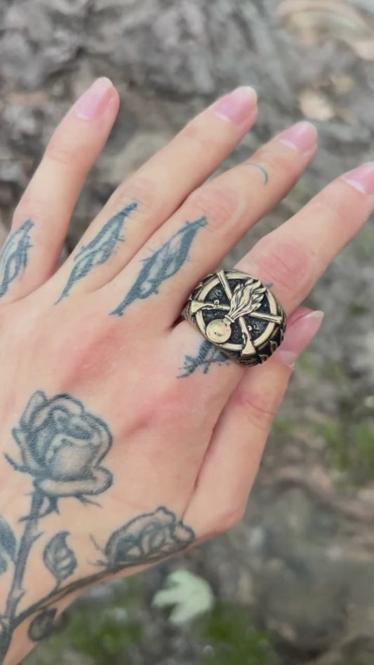 Ukrainian Mechanized Troops ring
